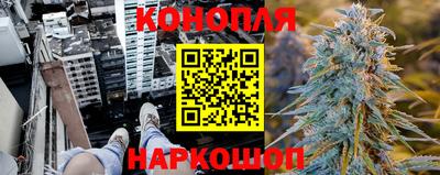 эйфоретик Дубна