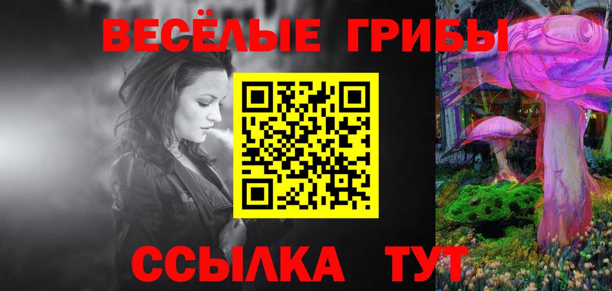 Галлюциногенные грибы Psilocybine cubensis Искитим