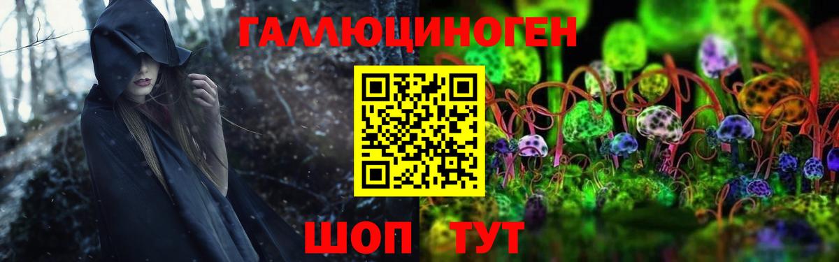 Искитим  Псилоцибиновые грибы MAGIC MUSHROOMS  Вход с VPN 