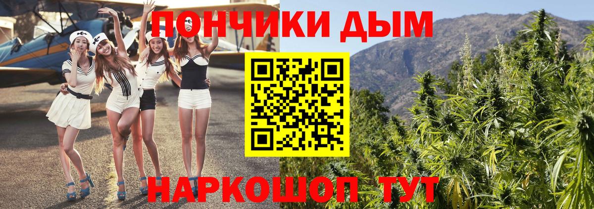 Шишки марихуана марихуана  Вход с VPN  Искитим  Бошки Шишки VHQ 